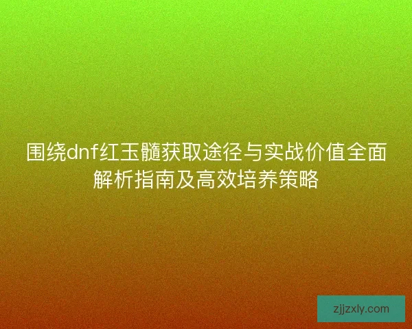 围绕dnf红玉髓获取途径与实战价值全面解析指南及高效培养策略